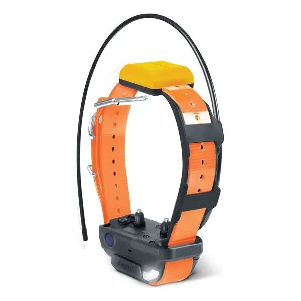 Dogtra Pathfinder 2 Halsband - Oranje