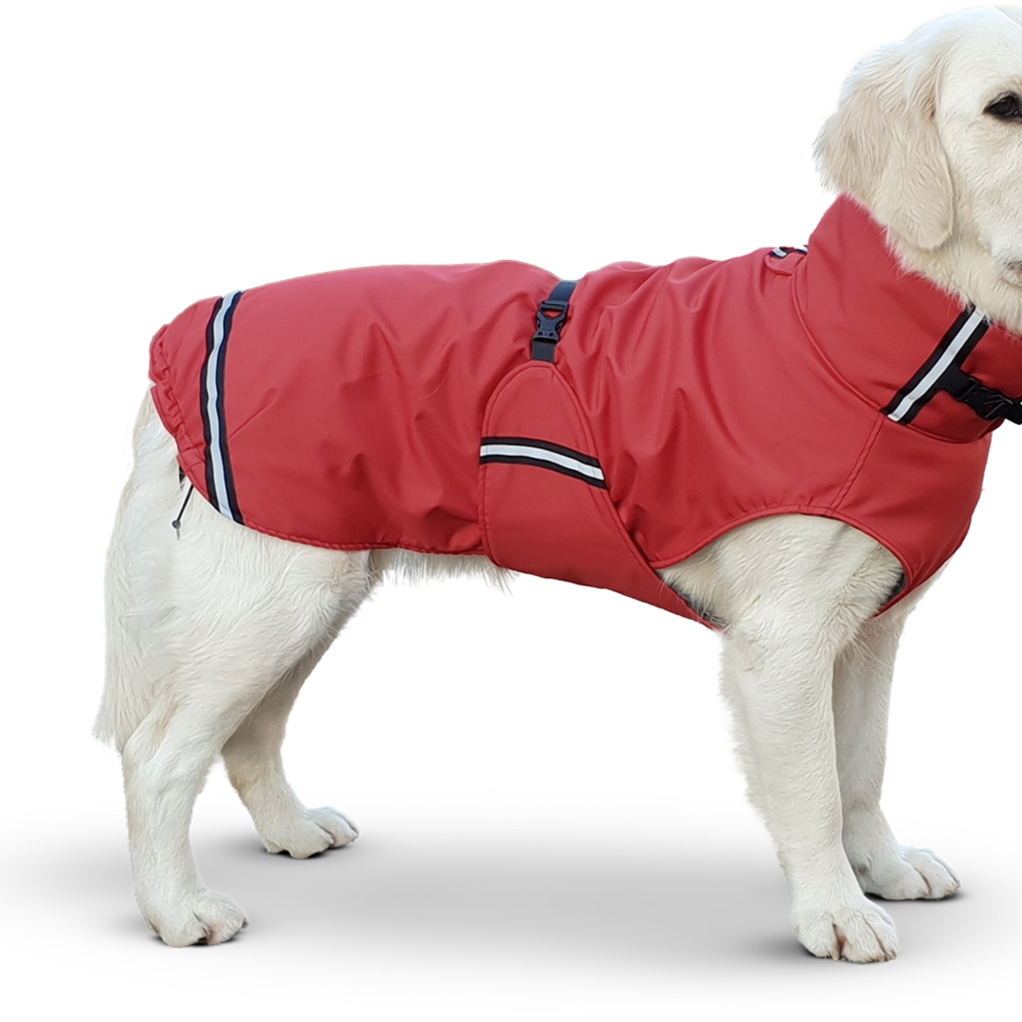 SUPERFUR Rainy