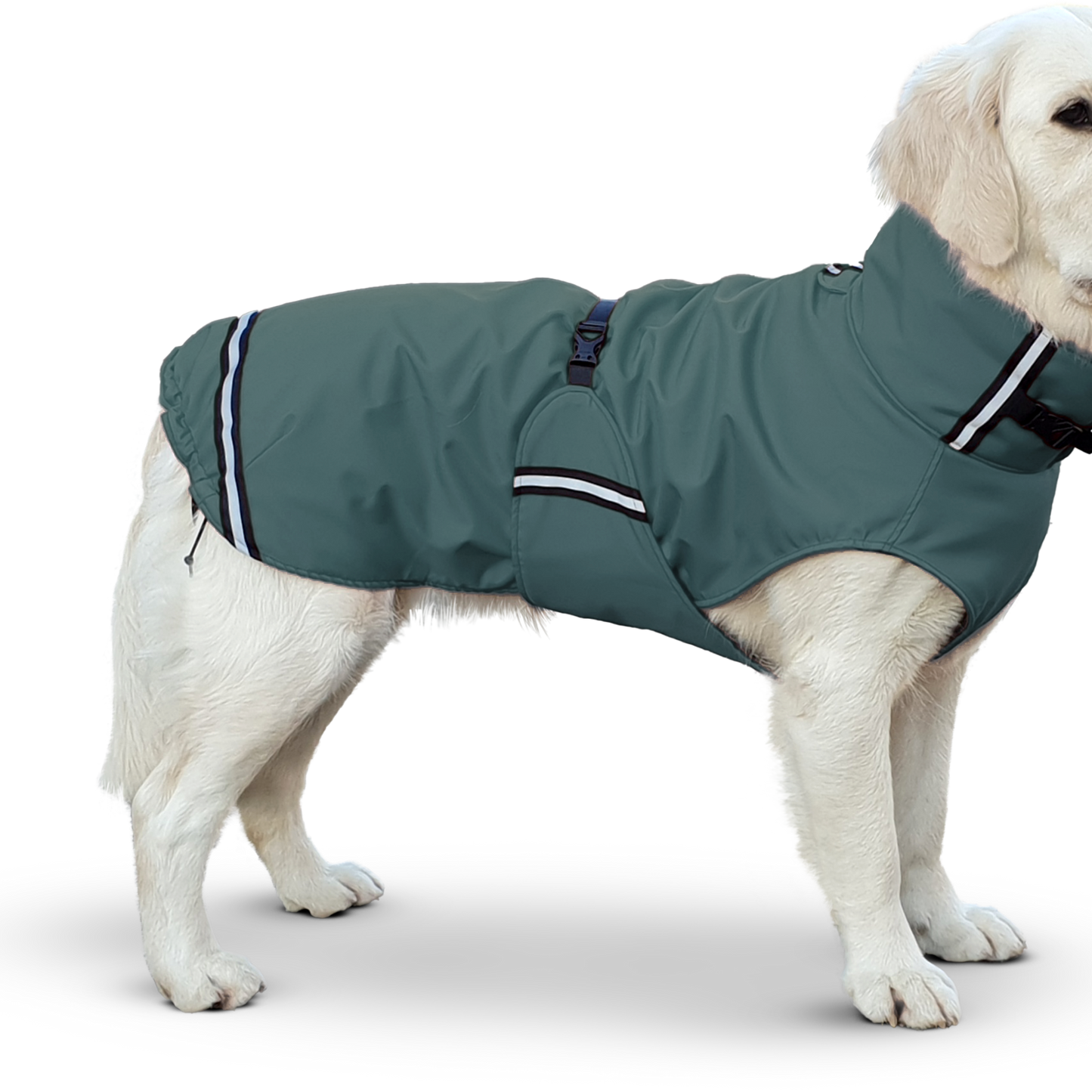 SUPERFUR Rainy