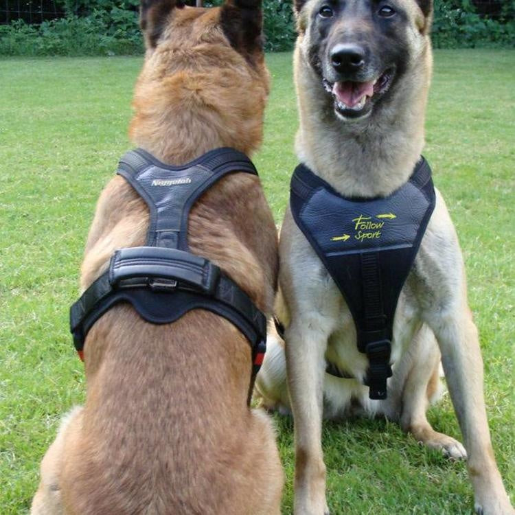 Niggeloh Harnas Follow Sport