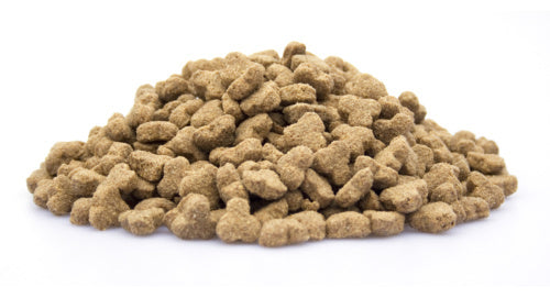 Best4Paws Light / Senior