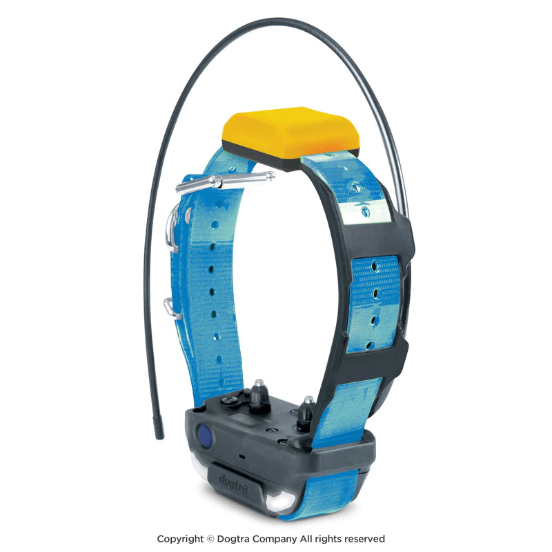 Dogtra halsband Pathfinder 2 Mini