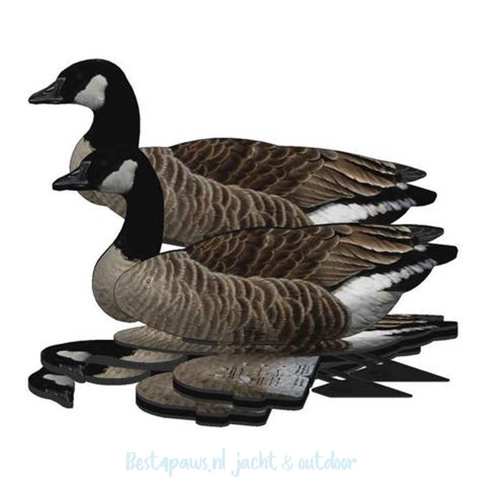 FUD Lokker Canadese Gans 6st