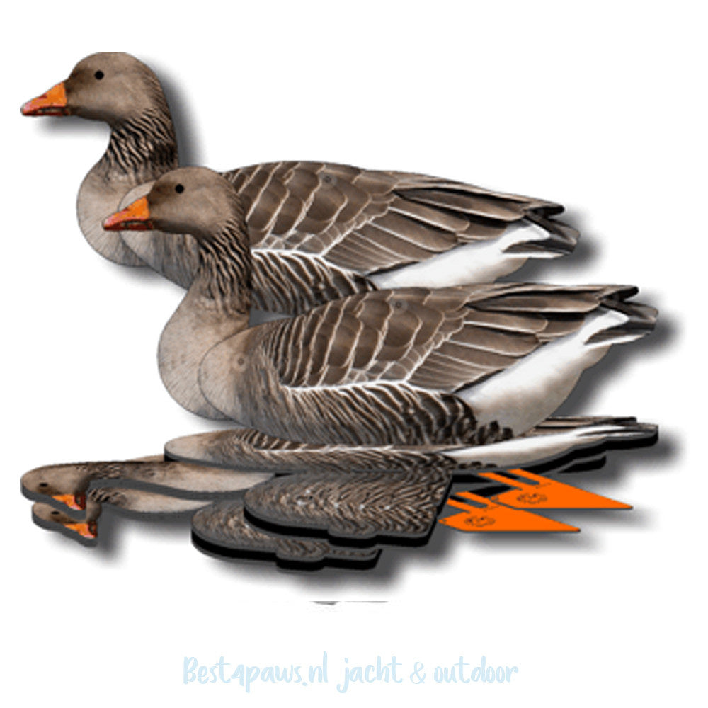 FUD Lokker Grauwe Gans 6st