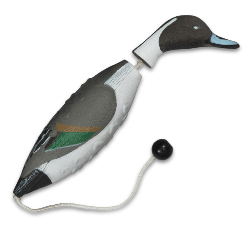ASD Ez Pintail dummy