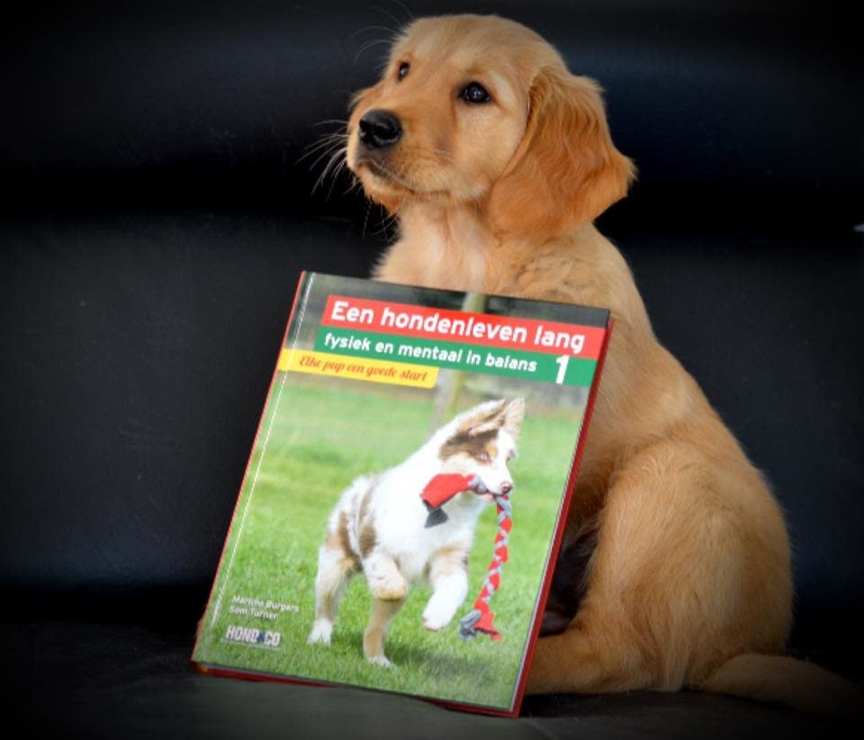 Boek Elke pup een goede start