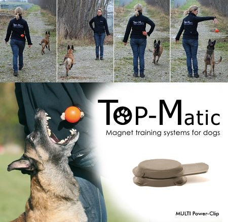 Magneet Bal (incl magneet )