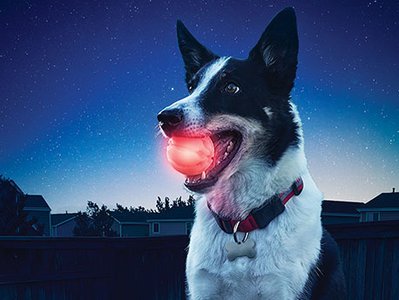 Nite Ize Glowstreak Dog Led Ball - Red